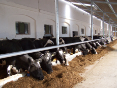 chov ozimej ražnej pšenice triticale jačmeň ovos hrach poľný fazuľa vika lucerna trávy